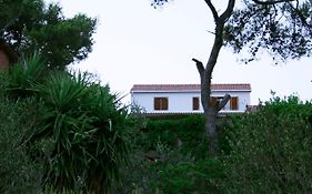 Small Villa Mande